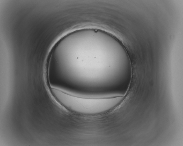 X0000111211518200907081251