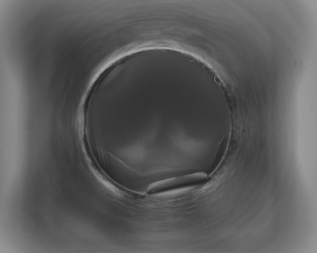 X0000111211519200907081251