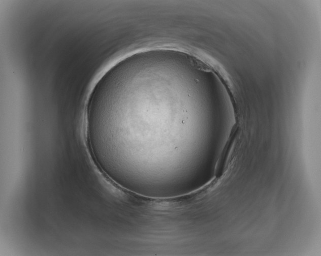 X0000111211520200907081251