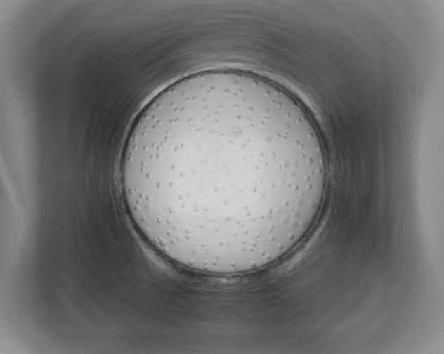 X0000111211521200907081251