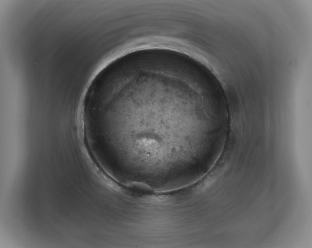 X0000111211522200907081251