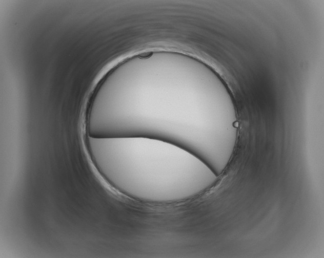 X0000111211523200907081251