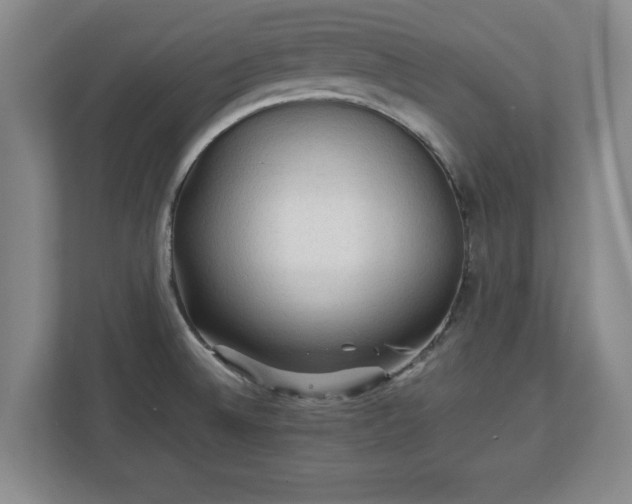 X0000111211524200907081251