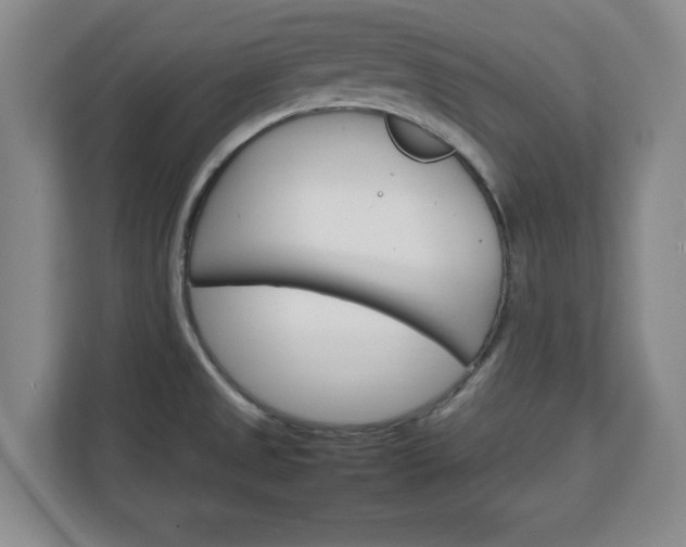 X0000111211525200907081251