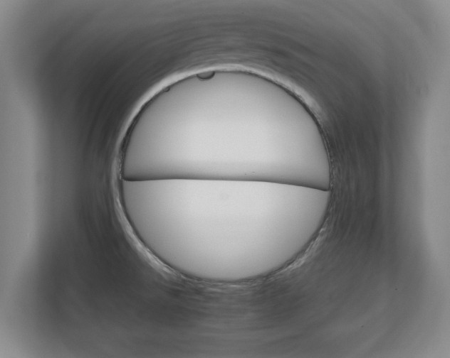 X0000111211526200907081251