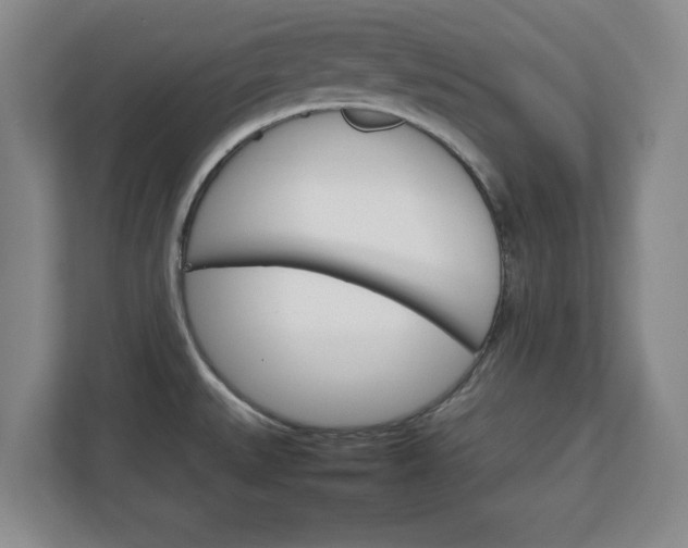 X0000111211527200907081251