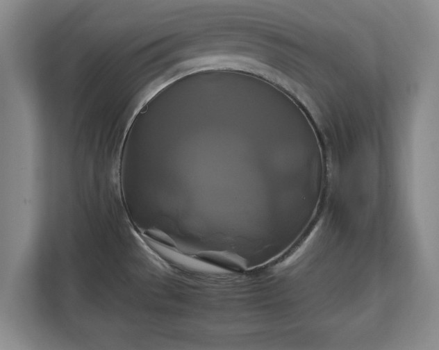 X0000111211529200907081252