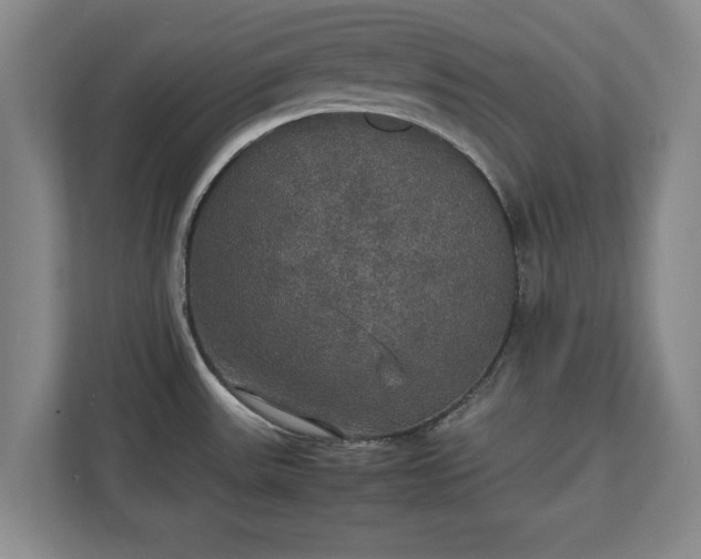 X0000111211531200907081252