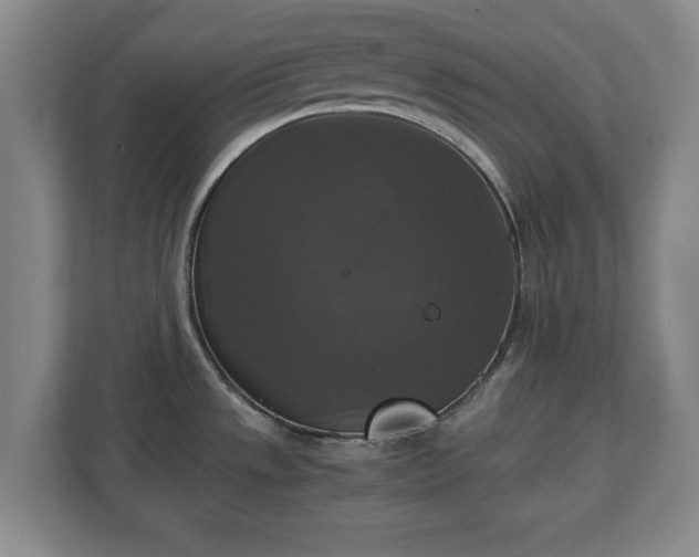 X0000111211533200907081252