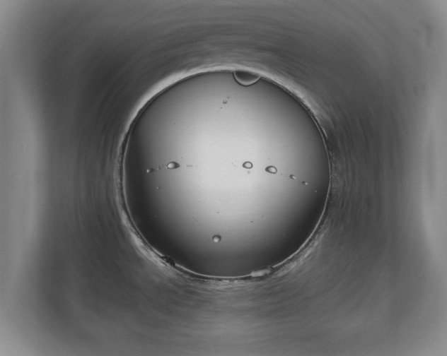 X0000111211534200907081252