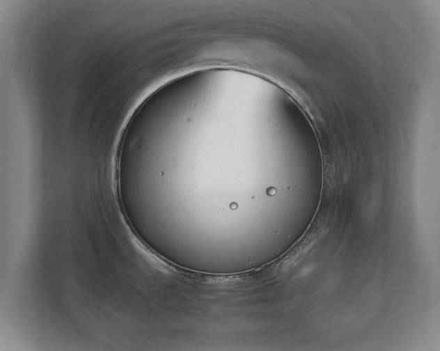 X0000111211535200907081252