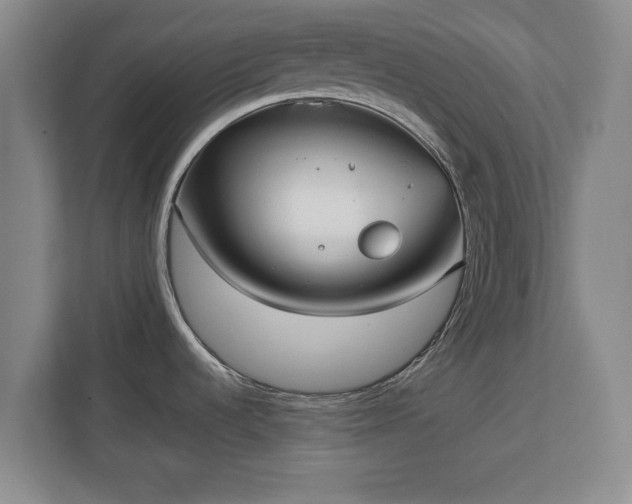 X0000111211536200907081252