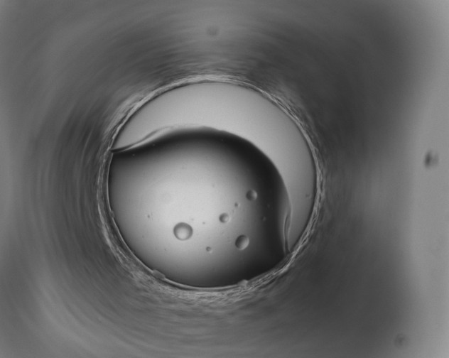 X0000111210001200907151448