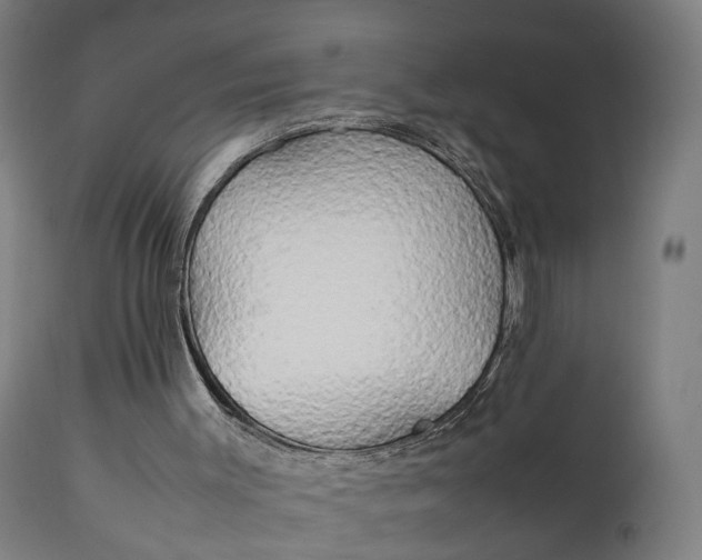 X0000111210003200907151448