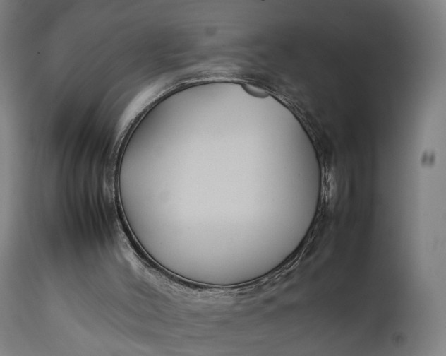 X0000111210004200907151448