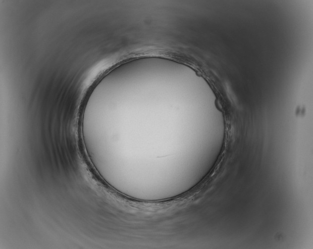 X0000111210006200907151448