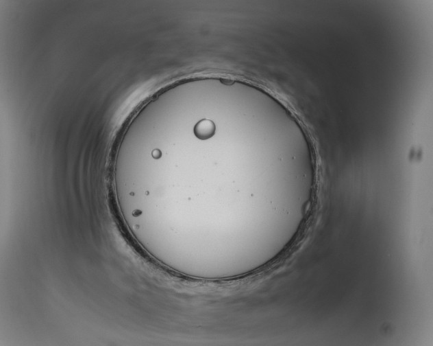 X0000111210007200907151448