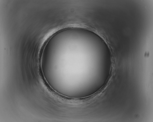 X0000111210008200907151448