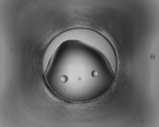 X0000111210009200907151448