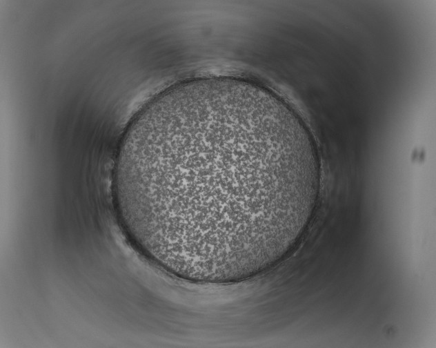 X0000111210010200907151448