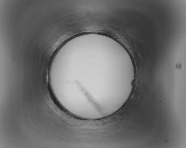 X0000111210011200907151448