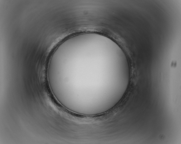 X0000111210012200907151448