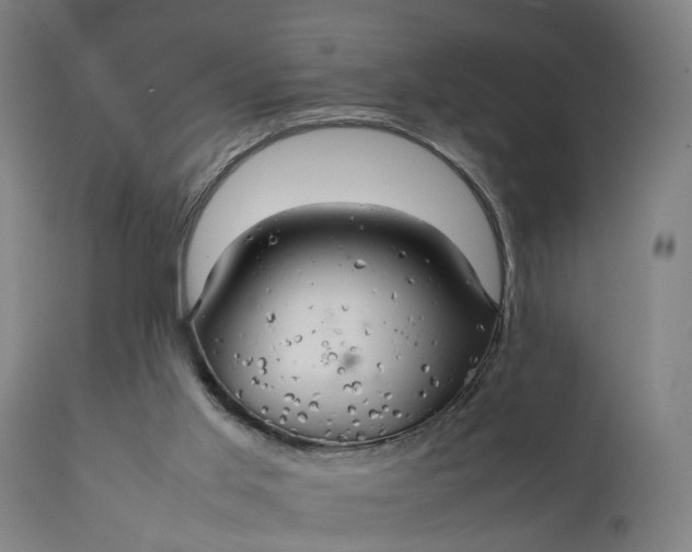 X0000111210013200907151448