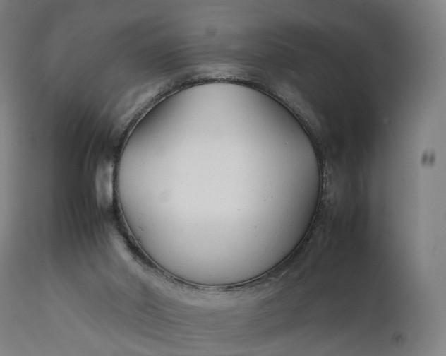 X0000111210014200907151448