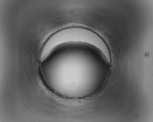 X0000111210015200907151448