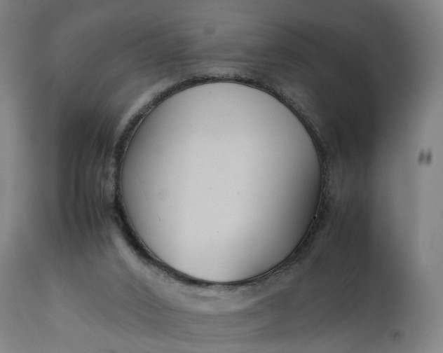 X0000111210016200907151448