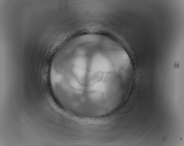 X0000111210018200907151448