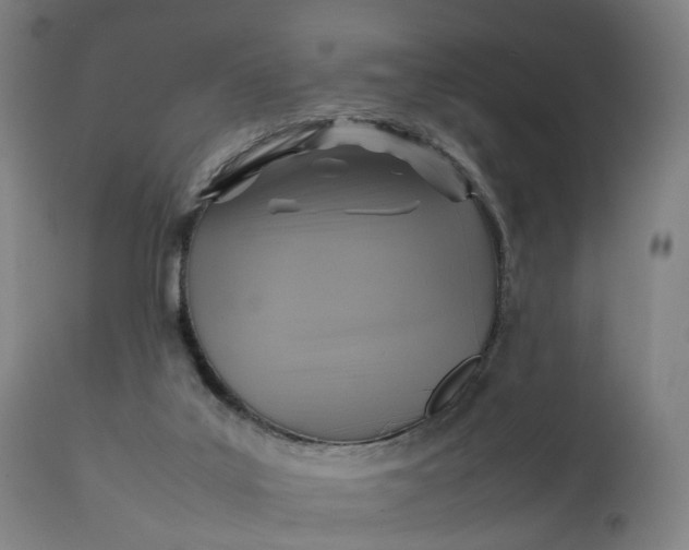 X0000111210019200907151448