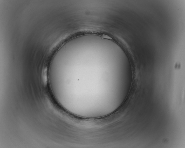 X0000111210020200907151448