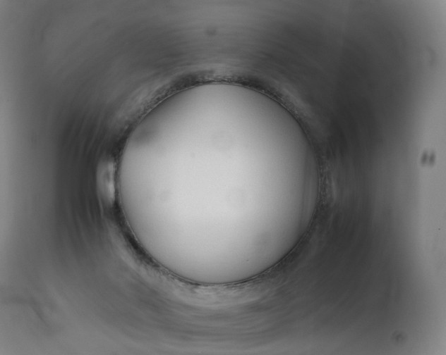 X0000111210022200907151448