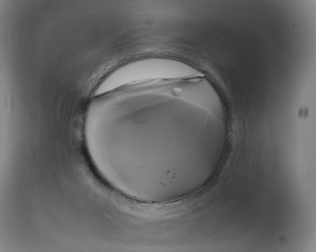 X0000111210023200907151448