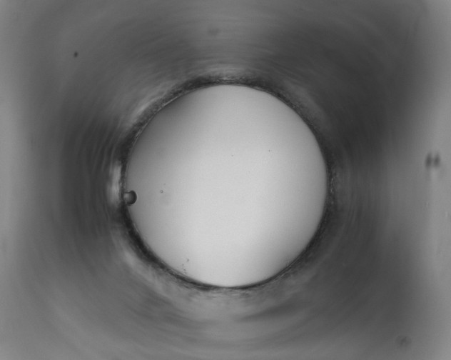 X0000111210024200907151448