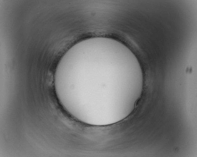 X0000111210025200907151448