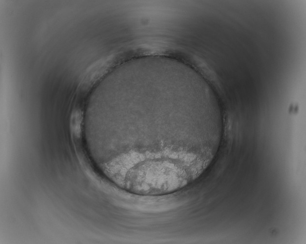 X0000111210026200907151448