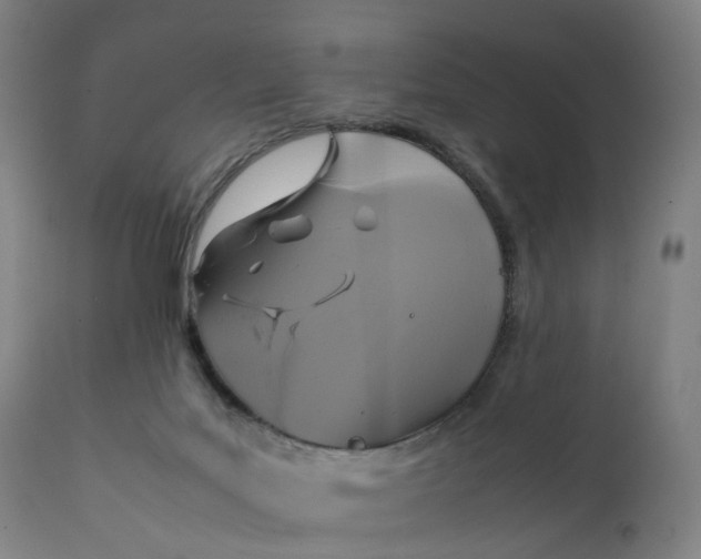 X0000111210027200907151448