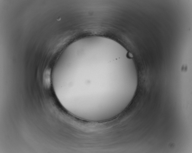 X0000111210028200907151448