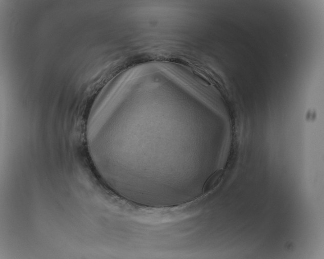 X0000111210029200907151448