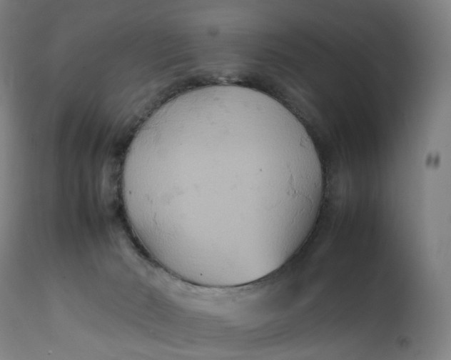 X0000111210030200907151448