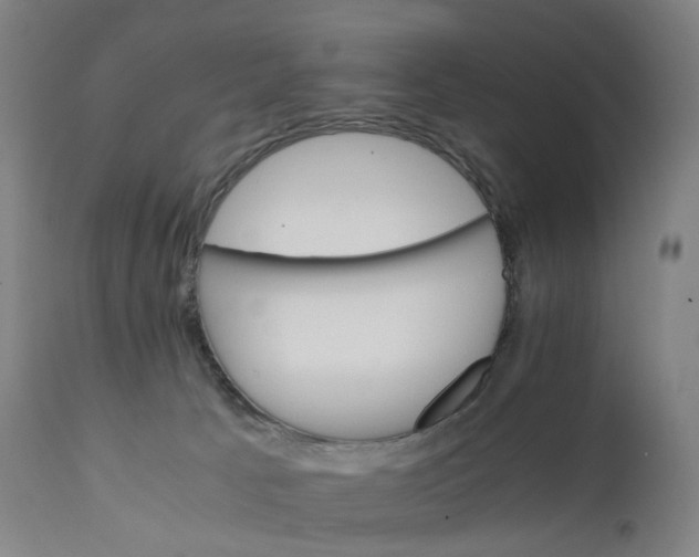 X0000111210033200907151448