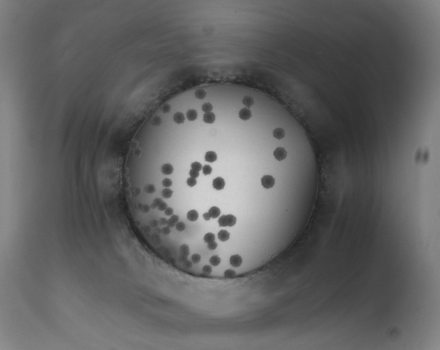 X0000111210034200907151448