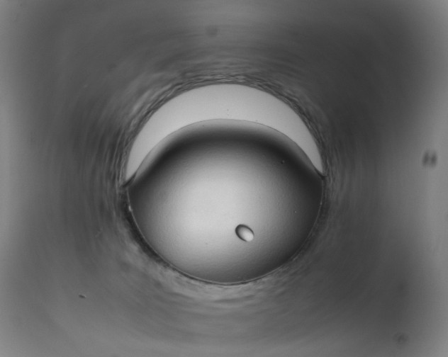 X0000111210035200907151448