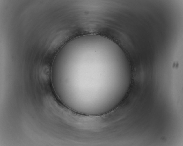 X0000111210036200907151448