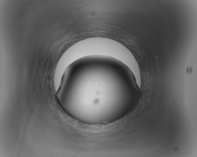 X0000111210037200907151448