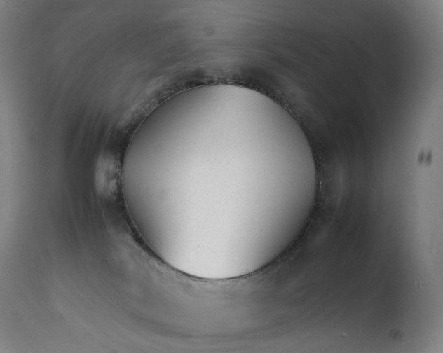 X0000111210038200907151448