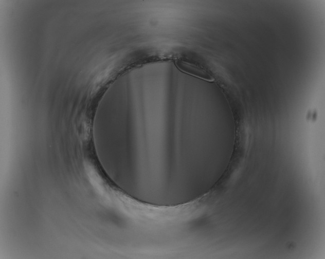 X0000111210039200907151448