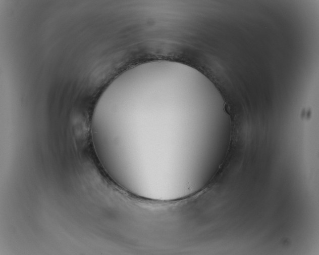 X0000111210040200907151448